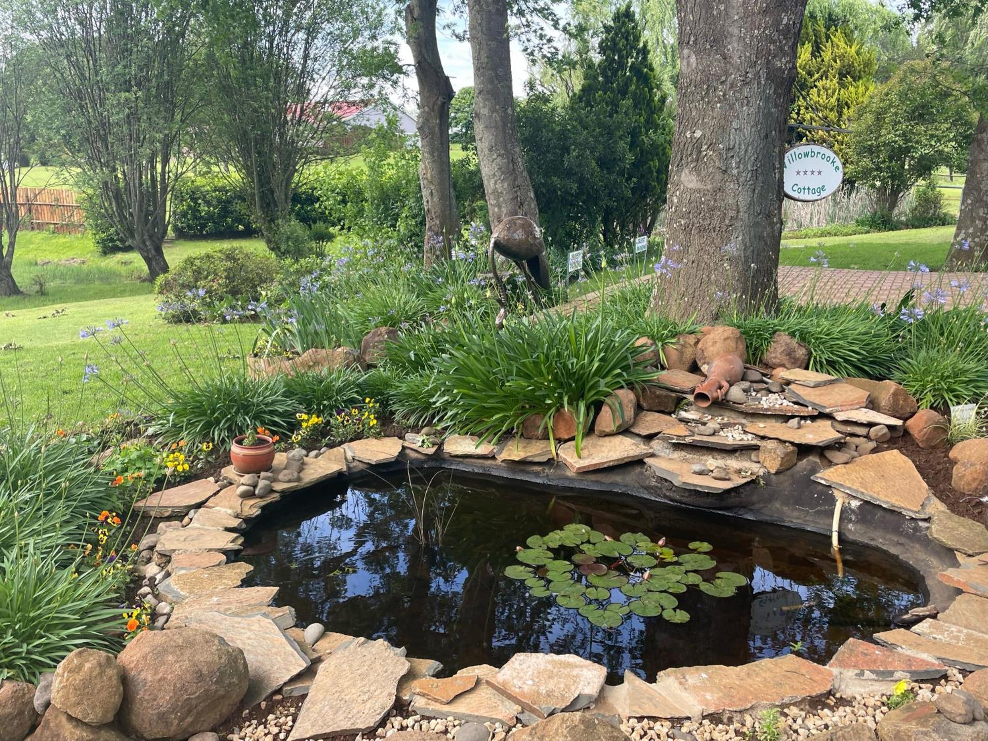 הימוויל Willowbrooke Cottage מראה חיצוני תמונה